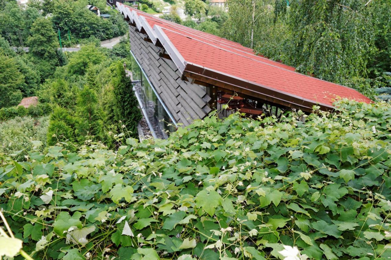Pension Stejeris Braşov Exteriör bild